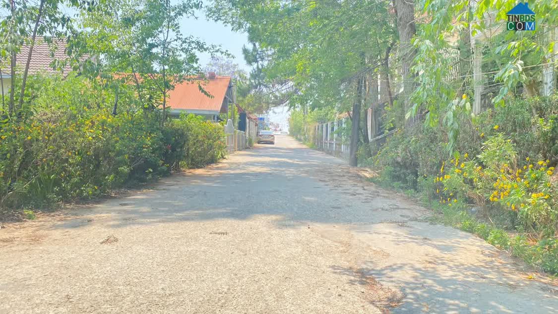 Ảnh 1.832m2 hẻm lớn trần quang diệu, phường 10, đà lạt 0