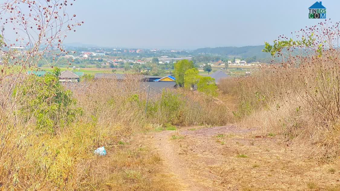 Ảnh 3,3 sào hẻm ql27, n'thôn hạ, đức trọng cũ, lâm đồng 0