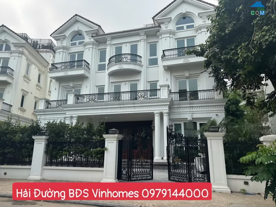 Ảnh Cực hiếm 2 đơn lập hoa sữa đập thông 1 hầm xây 4 tẩng nổi DTXD hơn 900m sử dụng. Lh:0979144000 0