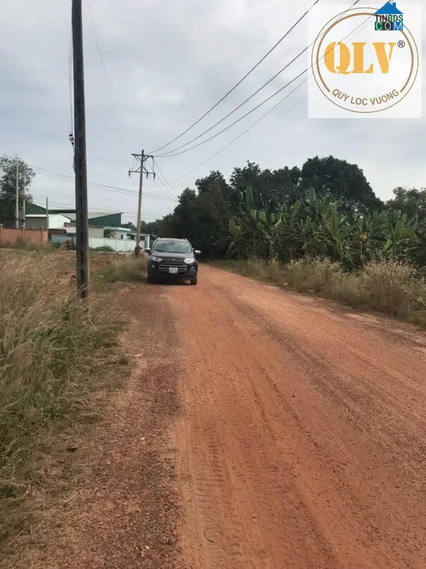 Ảnh Bán đất trống - PHƯỚC HÒA, PHÚ GIÁO – 48.450 m² 0