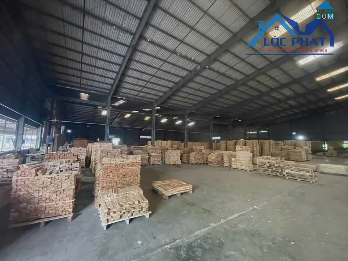 Ảnh X519 Cần chuyển nhượng GẤP công ty sản xuất gỗ 7,5 ha (75.000 m2), 250 tỷ full SKC tại Hố 0