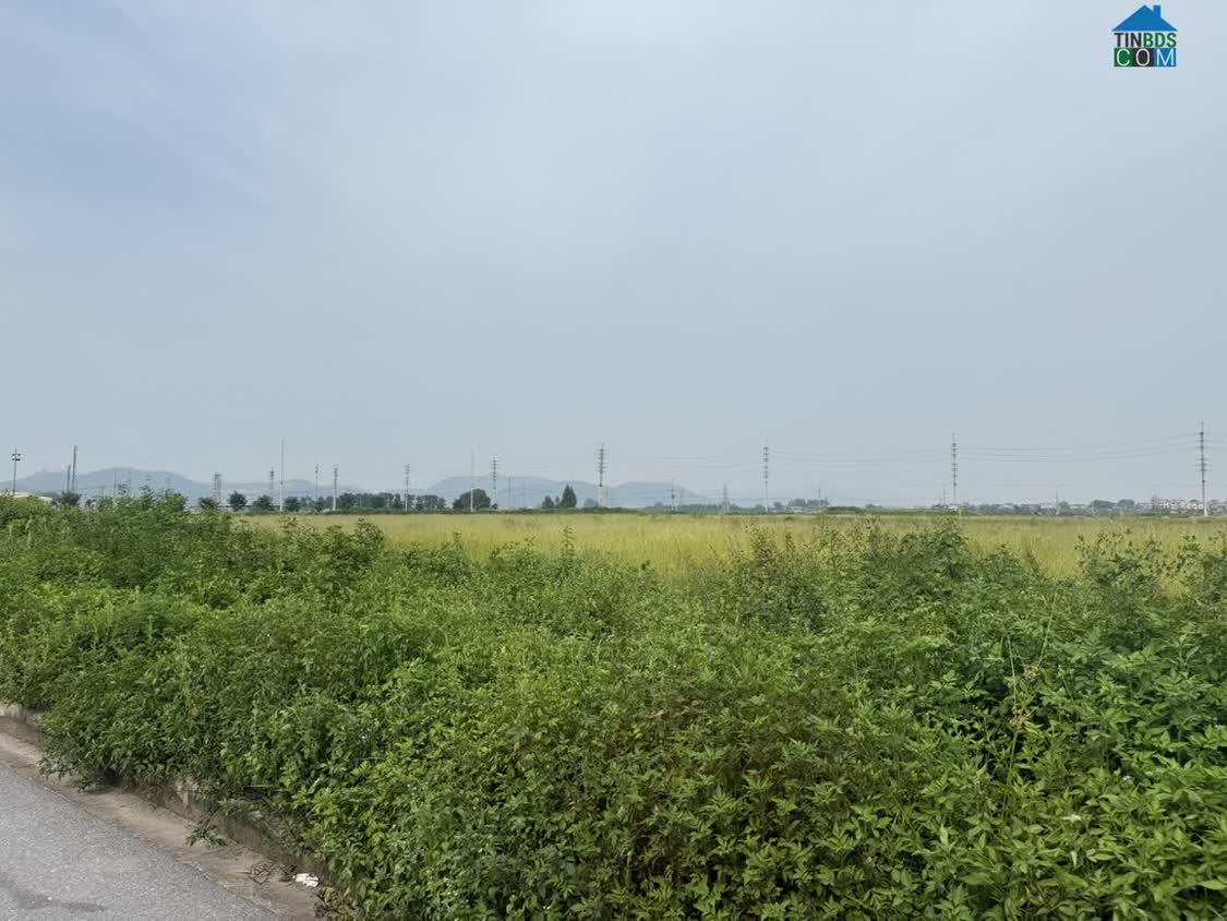 Ảnh Chuyển Nhượng 20.000m² Đất Khu CN Quang Châu – Bắc Ninh 0