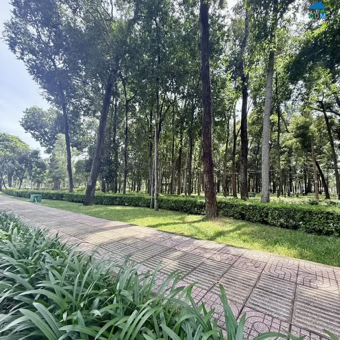 Ảnh ĐÊM MẤT NGỦ CÙNG SIÊU PHẨM HÀNG XÓM CV GIA ĐỊNH - 65M2 X 4 TẦNG - vị trí nuột nà - 9 tỷ xíu. 0