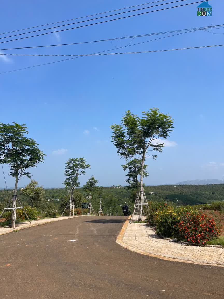Ảnh 2.Bán Đất vùng ven Đà Lạt giá chỉ 2xxtr 0