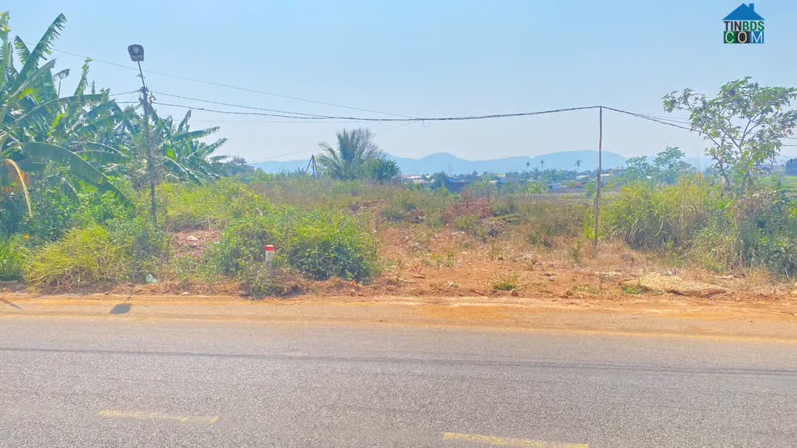 Ảnh Đất mặt tiền DH3, liên nghĩa, đức trọng, lâm đồng, gần hồ nam sơn 0