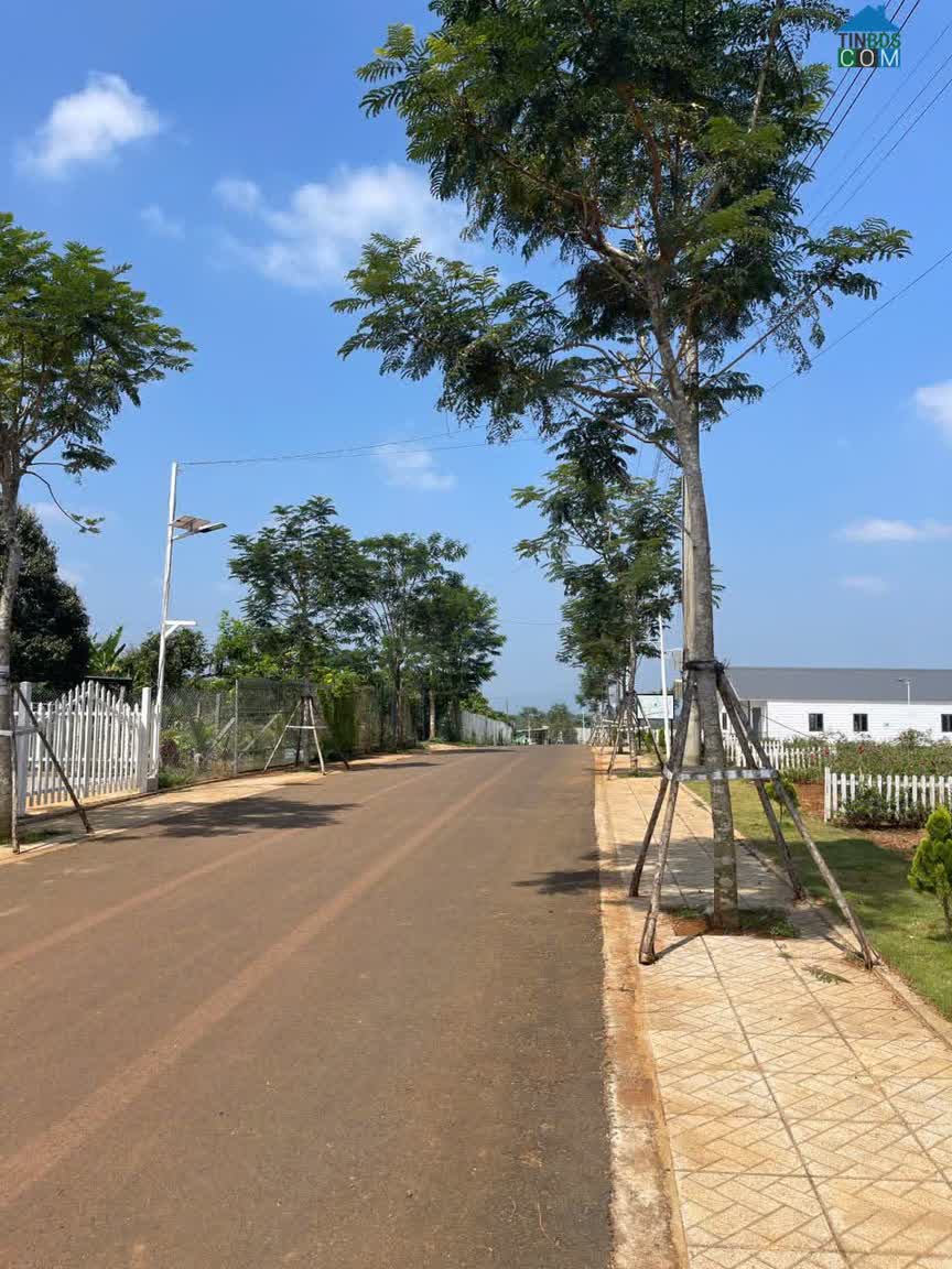 Ảnh 3.Bán Đất vùng ven Đà Lạt giá chỉ 2xxtr 0