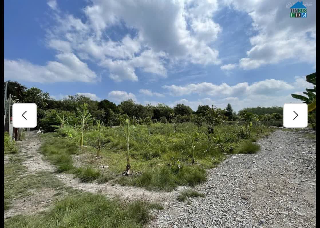 Ảnh Cho thuê đất MT đường 7m rộng 1 mẫu tại ĐS 812, Xã Phú Mỹ Hưng, Củ Chi 0