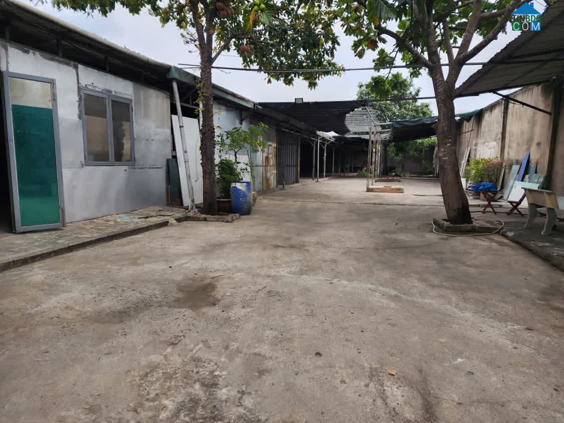 Ảnh Cho Thuê Xưởng Tại Đường Kênh Tiêu Bà Điểm 1. DT 1000M2 Chỉ 40tr/th. Lh:0903902443. 0