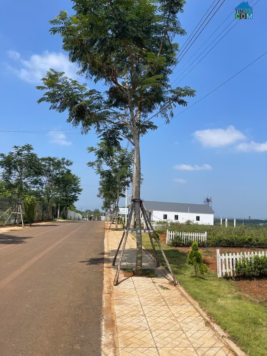 Ảnh 5.Bán Đất vùng ven Đà Lạt giá chỉ 2xxtr 0