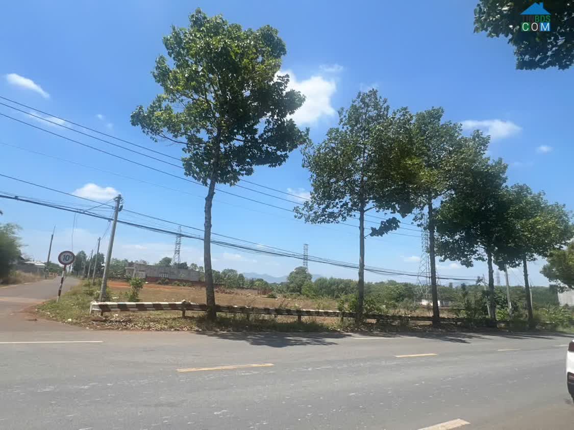 Ảnh Bán Đất Lô Góc Kinh Doanh Đường Lê Hồng Phong, Thị Trấn Ngãi Giao, Châu Đức 0