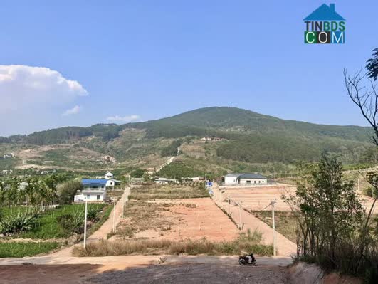 Ảnh Đất 2 Mặt Tiền – Thung Lũng Thông Xanh, Không Gian Sống Chạm Cảm Xúc 0