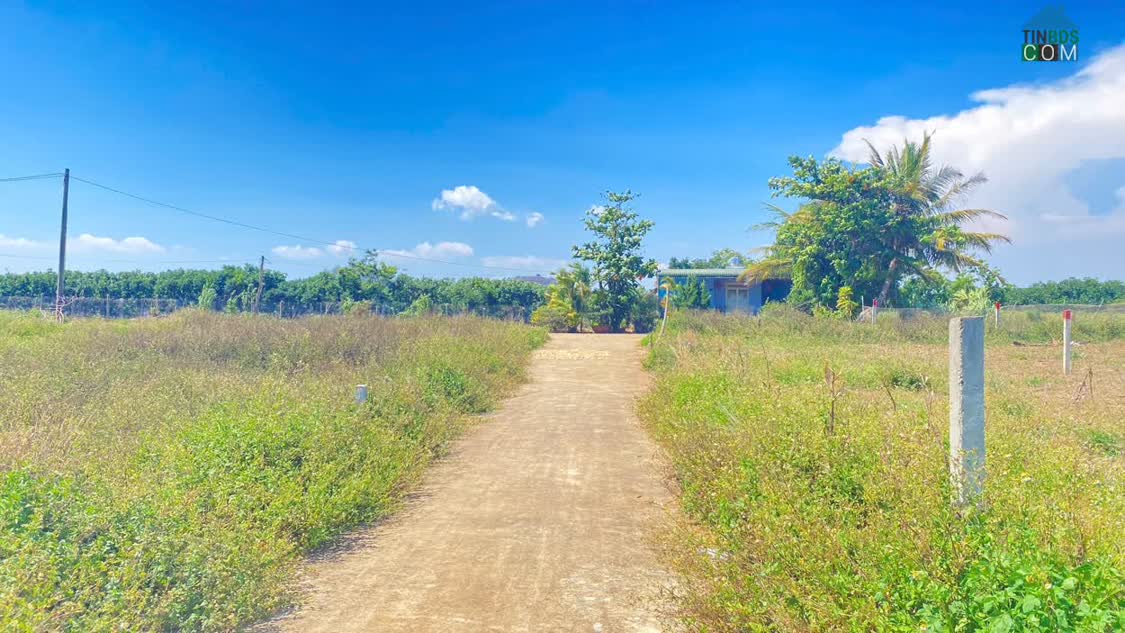 Ảnh Đất hẻm dt 724, phú hội cũ, đức trọng, lâm đồng 0