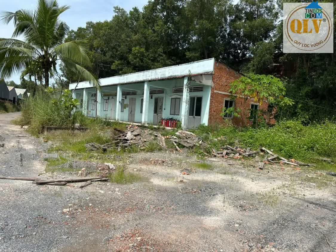 Ảnh Cho thuê nhà xưởng Bắc Tân Uyên, Bình Dương 37.000m² 0