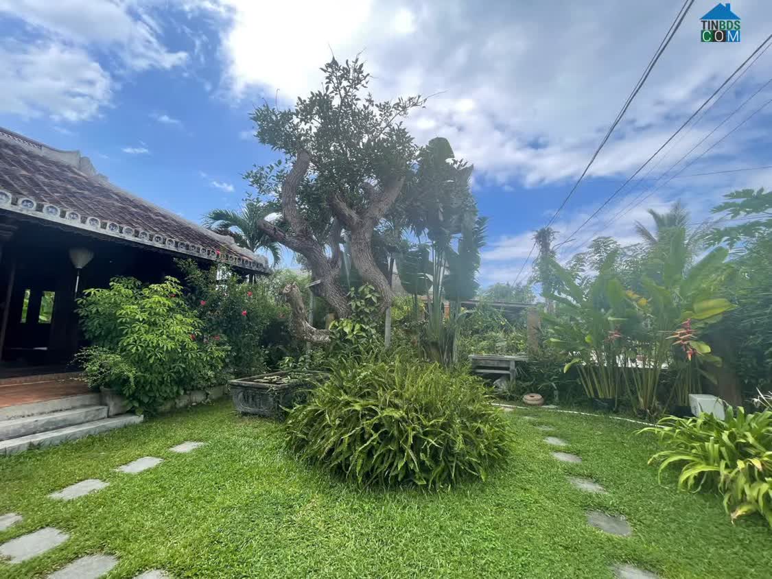 Ảnh Bán 500m² đất ven sông trục oto vivu Cẩm Thanh, 9,2 tỷ. 0