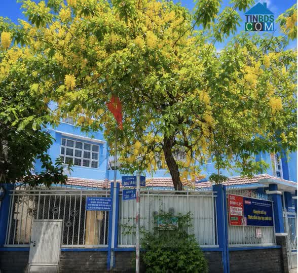 Ảnh TỔ ẤM CHO GIA ĐÌNH - 3 bước ra Tiểu học Trần Văn Ơn - bên hông khu Ẩm Thực Lữ Gia - 10. tỷ 0