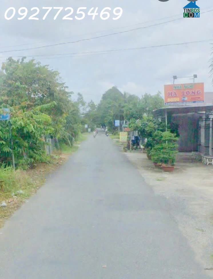 Ảnh Bán gần 2 công 8 vườn sầu riêng Ri6 7năm tuổi xã Thành Triệu - Bến Tre 0