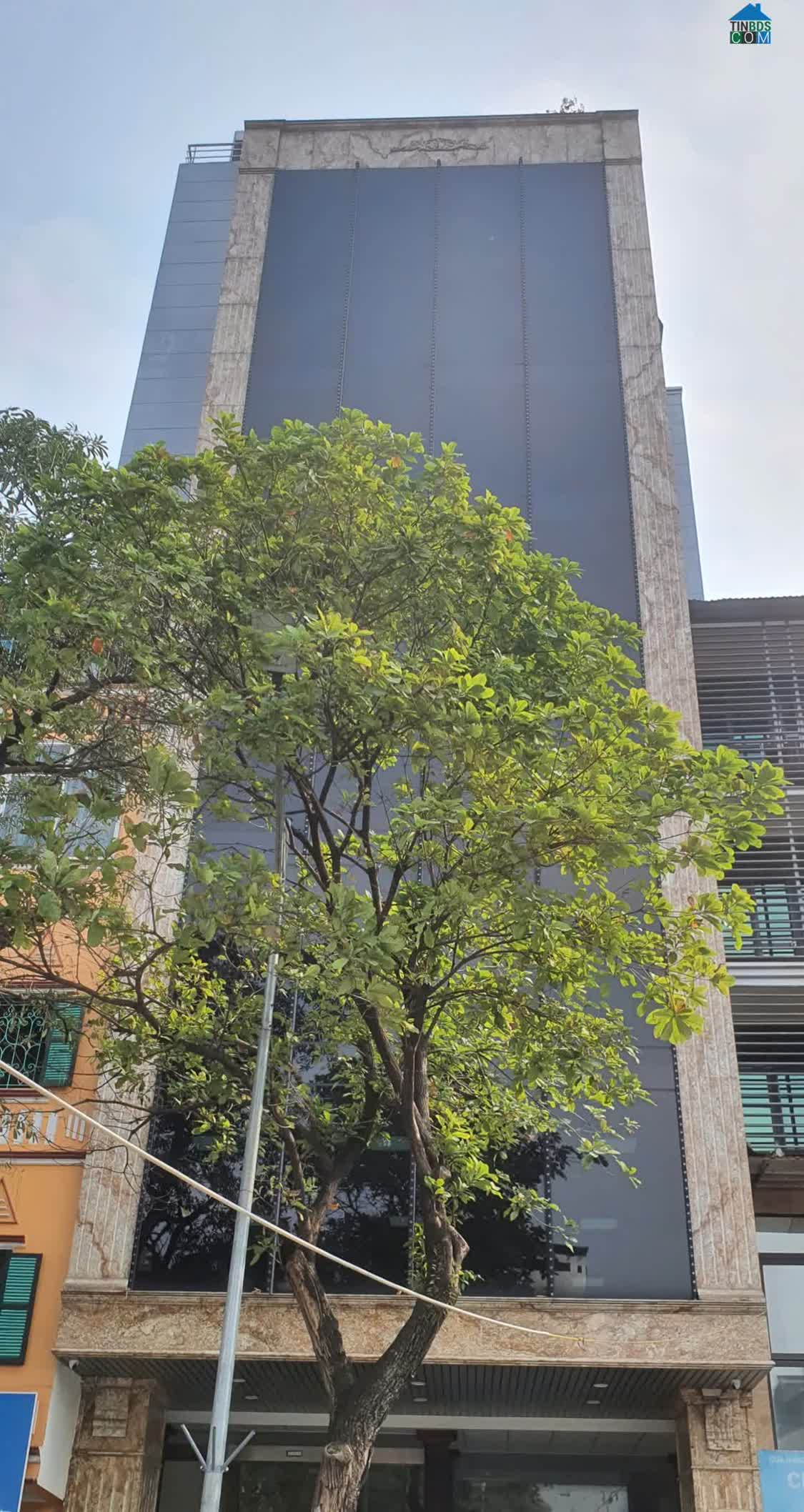 Ảnh Bán nhà mặt phố Kim Đồng DT 130 m2, 10 tầng, mặt tiền rộng, vỉa hè KD! 0