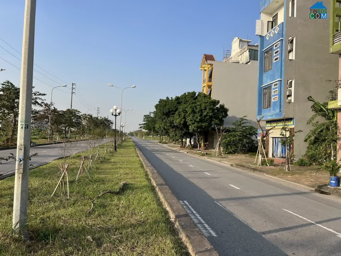 Ảnh Bán lô đất mặt đường đôi Tứ Minh, phường Tứ Minh, TP Hải Dương, 98.79m2, mt 8m, KD 0