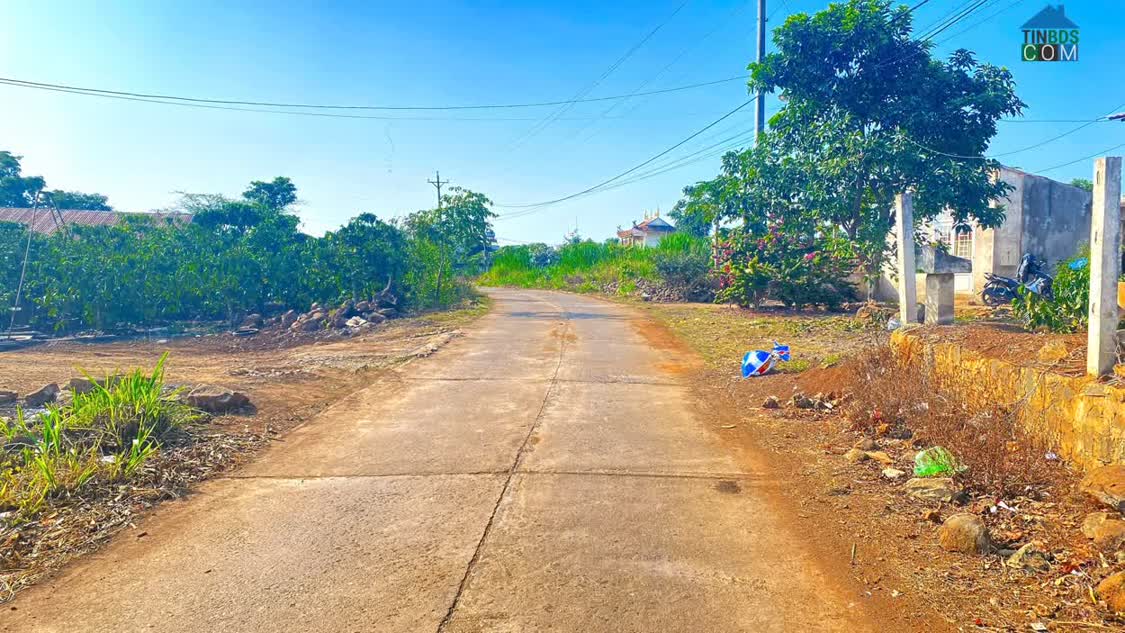 Ảnh 500m2 mặt hẻm tân phú, tân hội, đức trọng cũ, lâm đồng 0