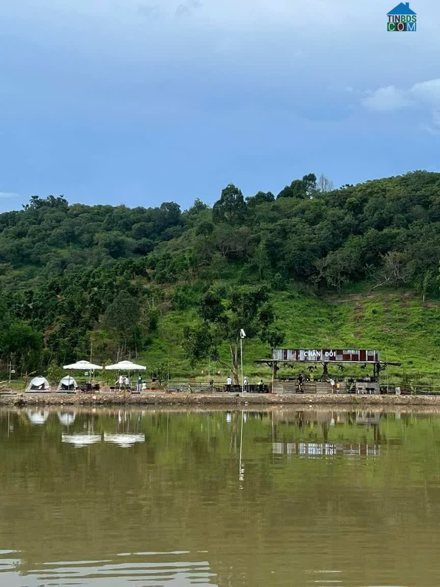 Ảnh Bán Đất Khu Câu Cá Chân Đồi, Ấp Bàu Chim, Xã Phú Xuân, Huyện Tân Phú, Đồng Nai 0