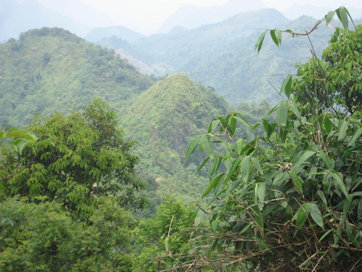 Ảnh Bán Gấp 506 Ha Rừng Sản Xuất Tại Xã Bạch Ngọc Hà Giang – Có Mỏ Khoáng Sản – Giá Chỉ 65 Tỷ (Tl) 0