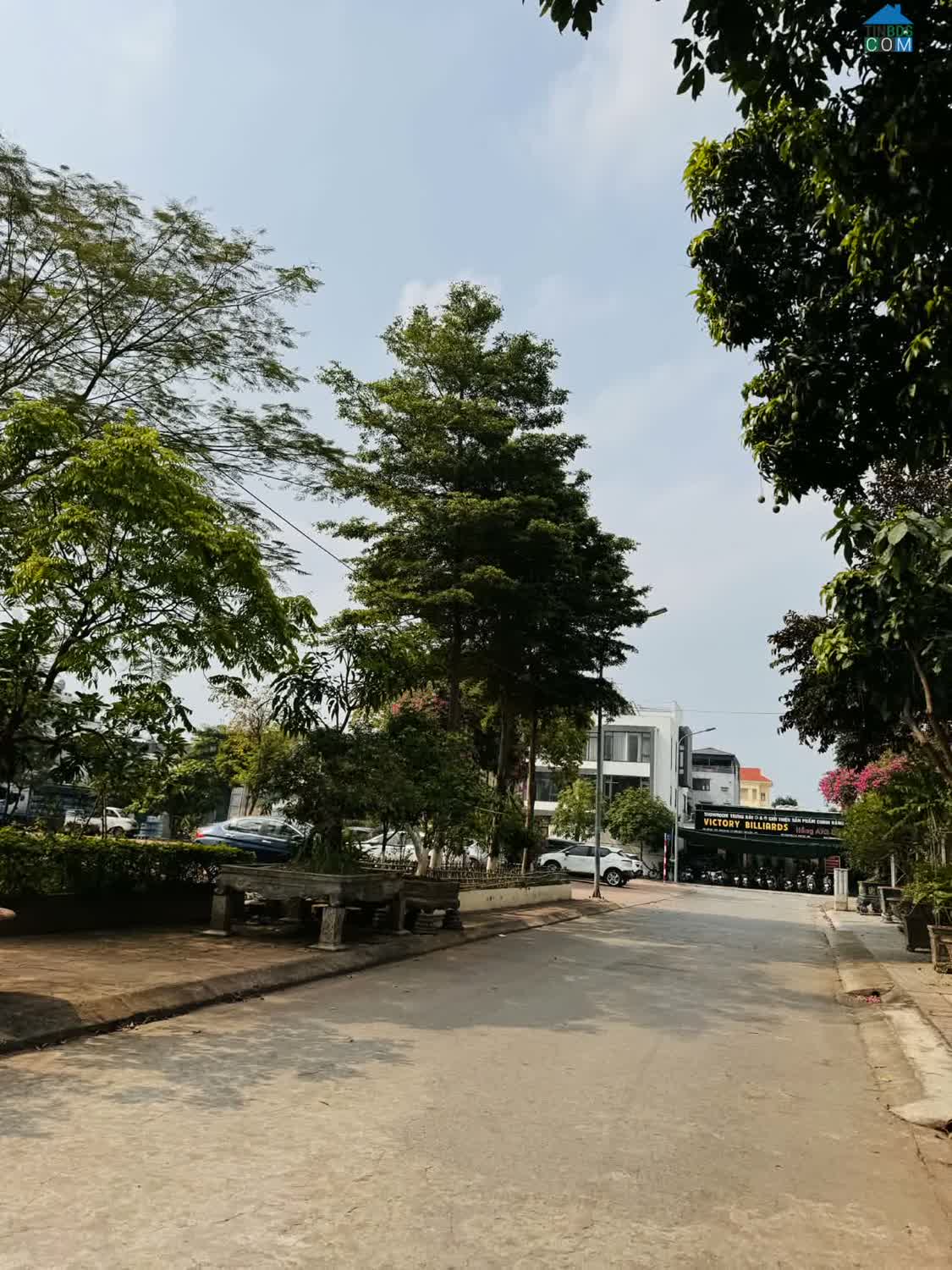 Ảnh Bán đất biệt thự khu đấu giá 31ha,Trâu Quỳ,Gia Lâm 248m2 đường 15m view Vườn hoa,dòng tiền 0