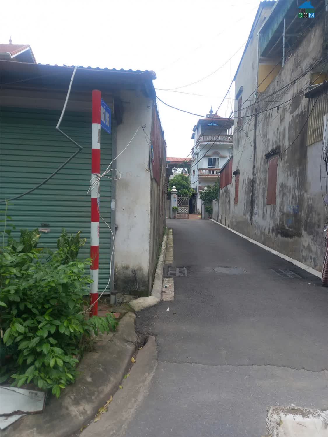 Ảnh Cho thuê nhà khu B – Viện rau Trâu Quỳ. 0