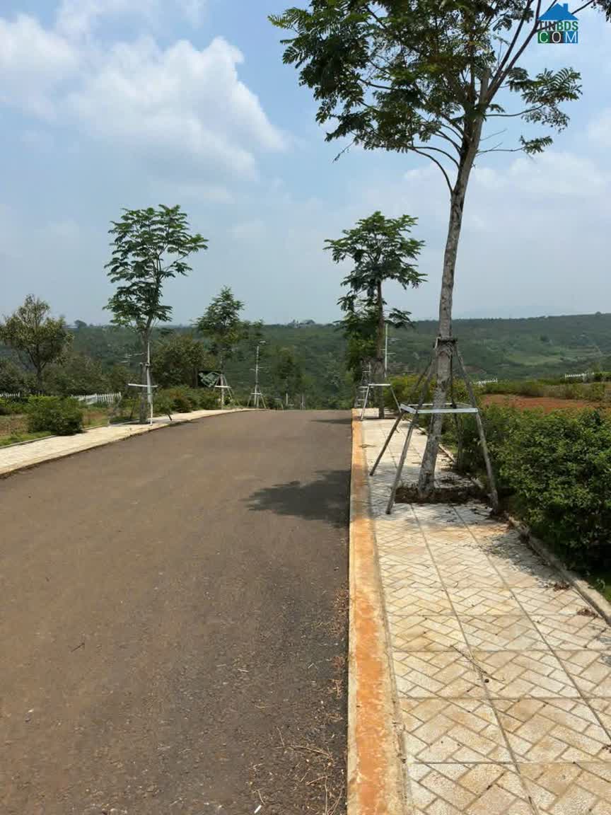 Ảnh 27.Bán Đất vùng ven Đà Lạt giá chỉ 2xxtr 0