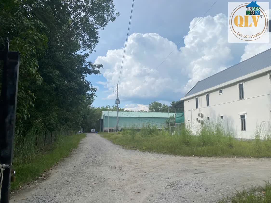Ảnh Bán / Cho thuê nhà xưởng khuôn viên riêng – Lai Uyên, Bàu Bàng, Bình Dương – 6.955m² 0