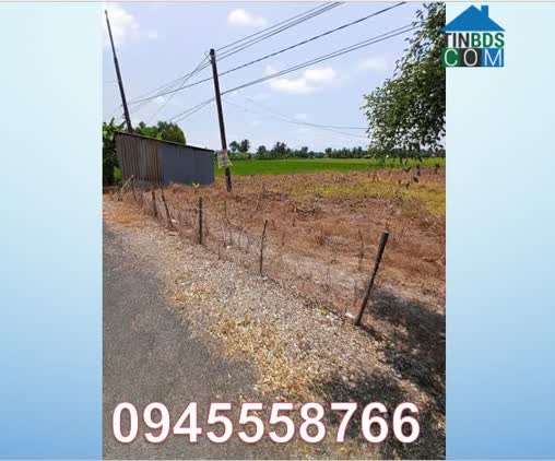 Ảnh ☢️Chính chủ cần bán gấp lô đất mặt tiền ĐT 937B ngay Mỹ Quới, (huyện Ngã 5, Sóc Trăng). 0945558766 0