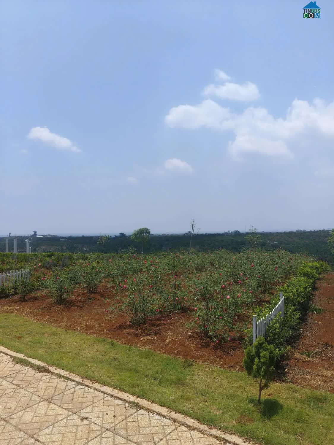 Ảnh 150m² – Chỉ 289 Triệu – Đất Ven Đà Lạt 0