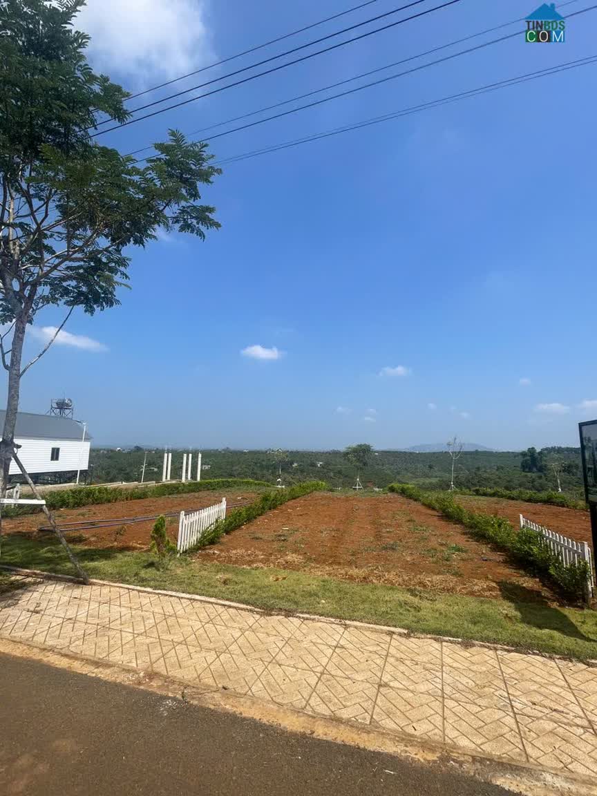 Ảnh Đất di linh giá mềm – đón sóng quy hoạch, đầu tư cực đẹp 0