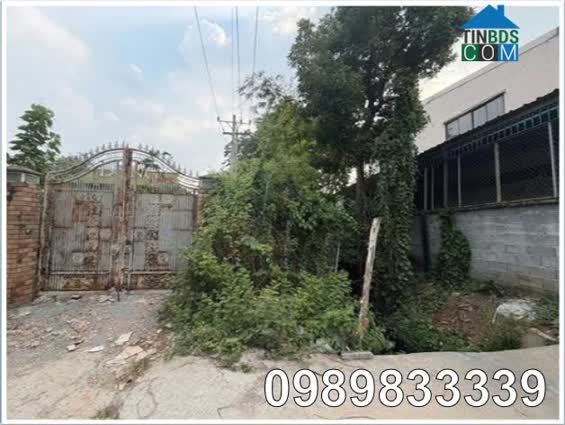 Ảnh Chính chủ cần bán nhà đất đường Vĩnh Phú 25 (Thuận An, BD), TP.HCM,0989833339 0