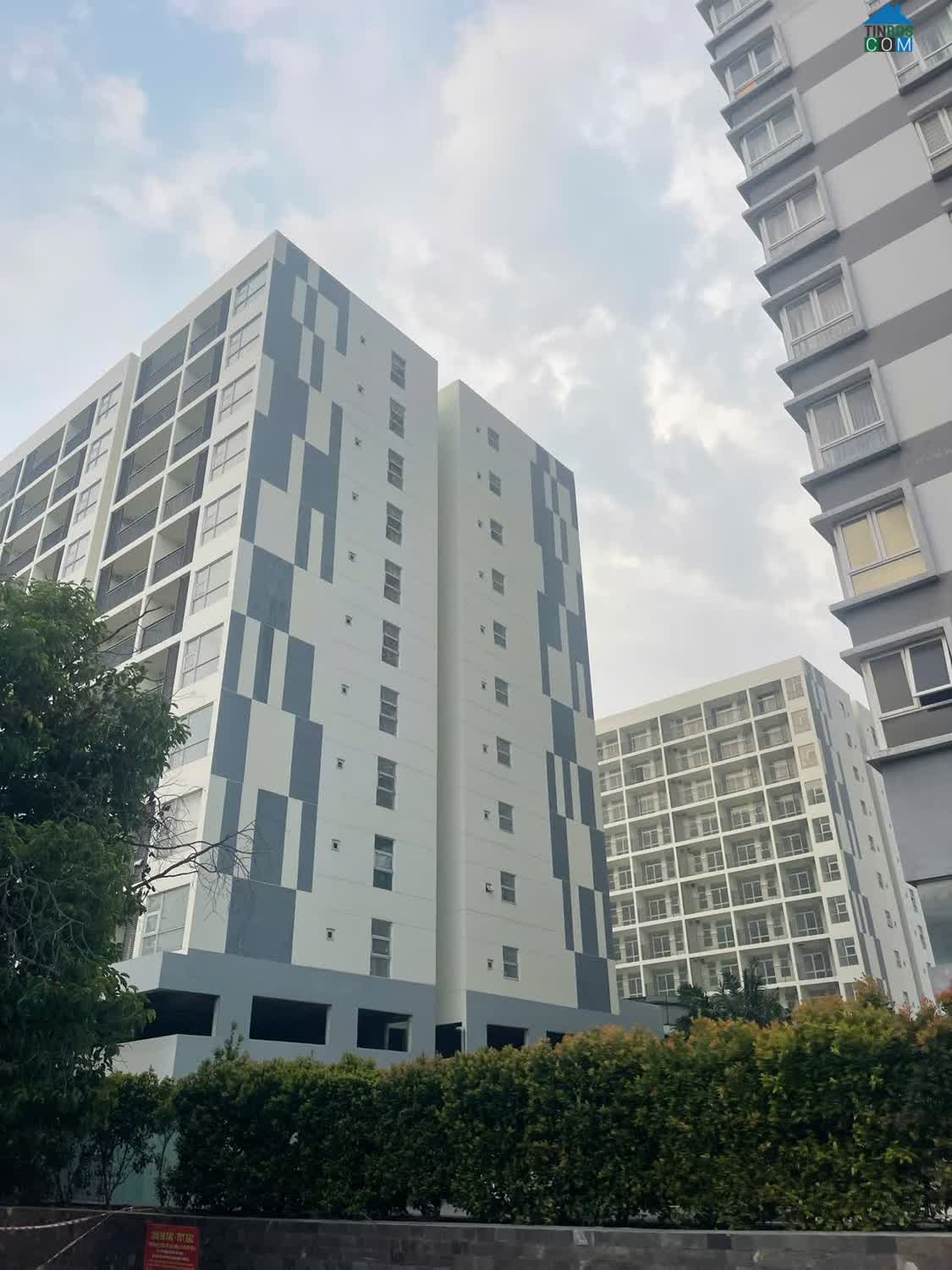 Ảnh Bán Nhà Ở Xã Hội 116 Lý Chiêu Hoàng, DT 50M2 (2pn,1vs) SHR Chỉ 1.6 Tỷ. Lh:0933799899 0