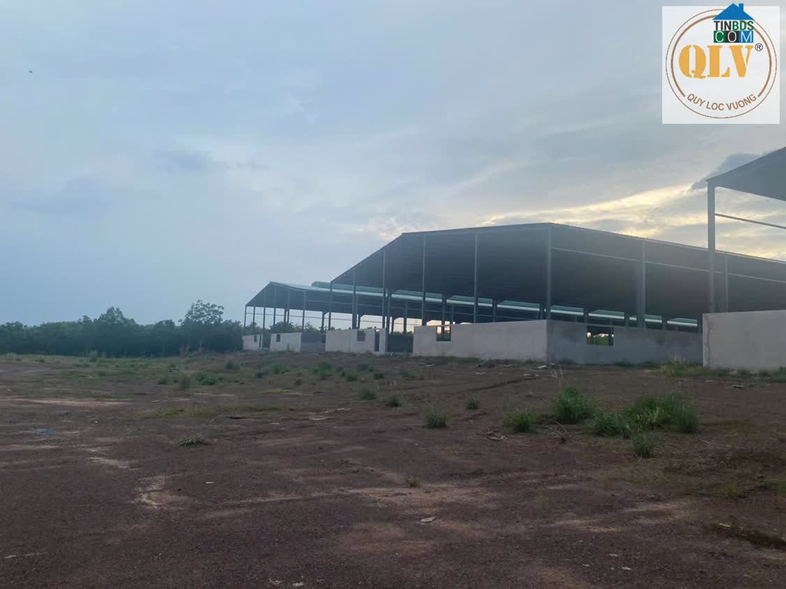 Ảnh Bán Nhà Xưởng – An Thái , Phú Giáo, Bình Dương – 31.952m² 0
