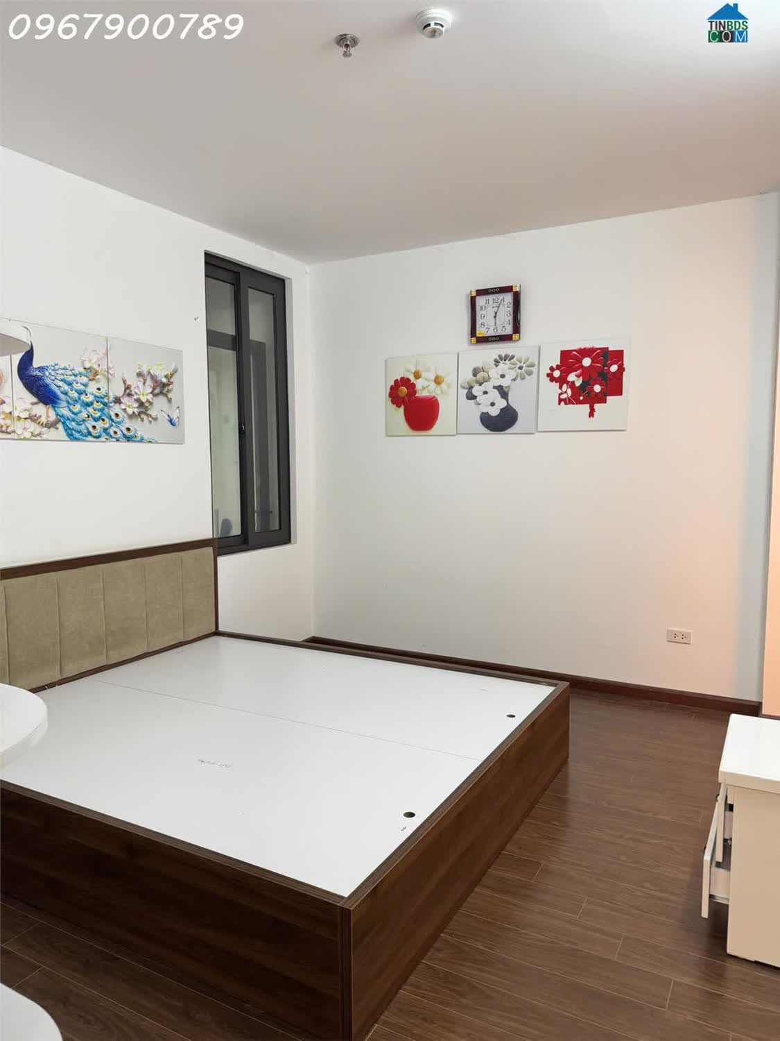 Ảnh Tổng Hợp Quỹ Căn Đẹp Ecohome 1, 2, 3 – Đông Ngạc, Hà Nội 0