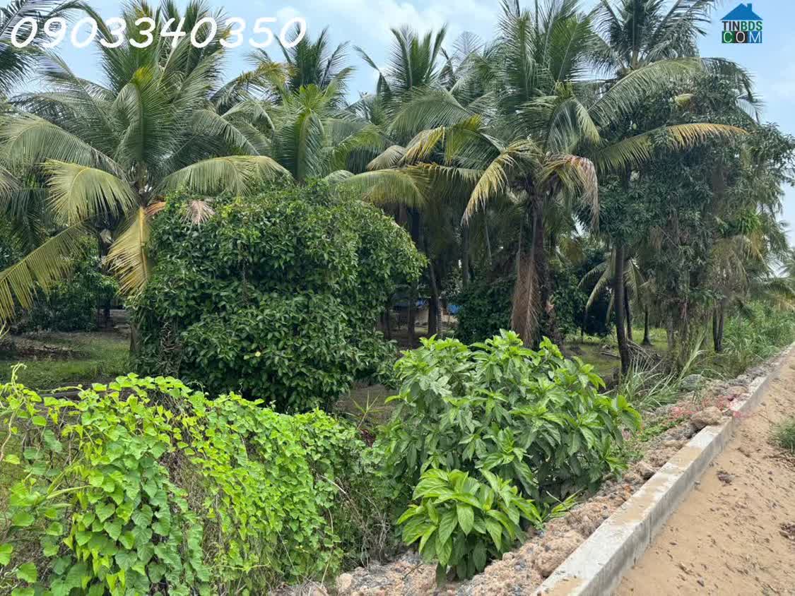 Ảnh Bán đất siêu đẹp mặt tiền bờ sông Sài Gòn tại Đông Thạnh, DT 1500 m2, giá 58 tỷ 0