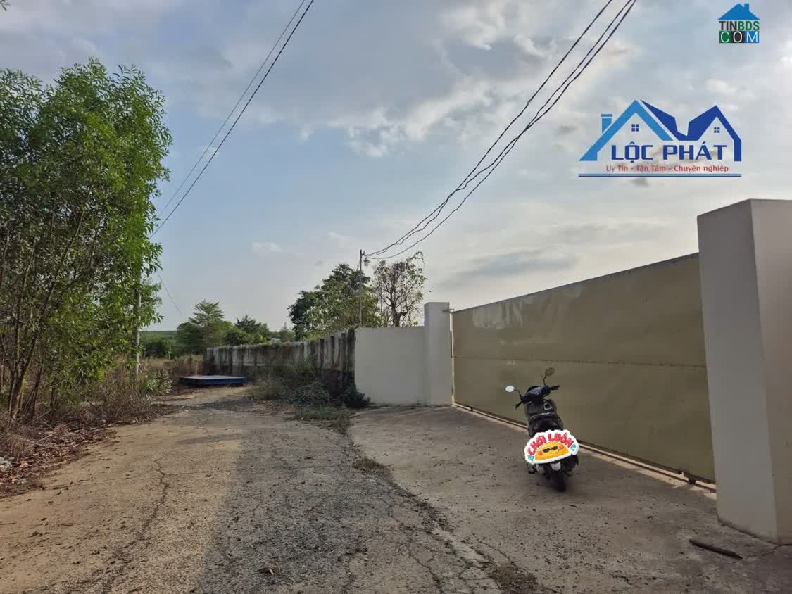 Ảnh Bán đất xây dựng xưởng 15000m2 tại P. Phước Tân, TP Đồng Nai. 0