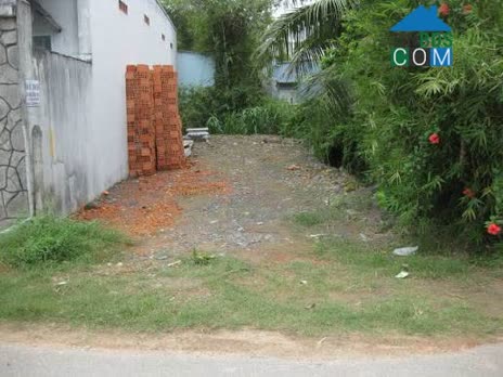 Ảnh Chủ xoay tiền bán gấp miếng đất ngay Củ Chi , MTĐ rộng 6m giá 1 tỷ 1 thương lượng 0