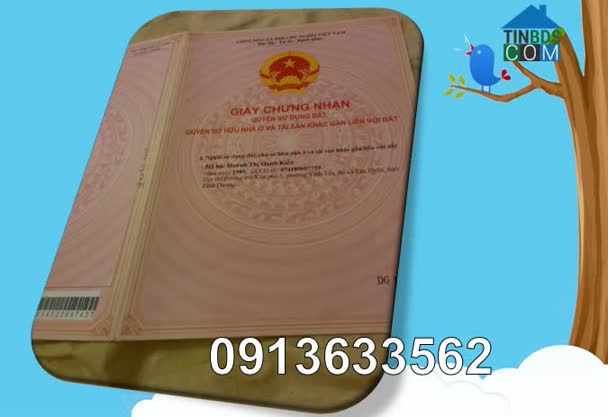 Ảnh Bán đất Đồng Xoài – Bình Phước, tổng diện tích 3.000m², vị trí gần trung tâm. 0913633562 0