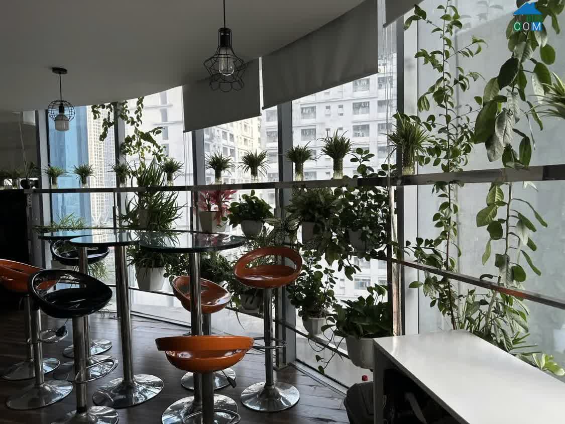 Ảnh Văn Phòng 637M2 Tòa MD Complex, Chia Sẵn Phòng Full Nội Thất 3