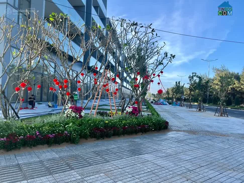 Ảnh Bán shophouse 3 tầng, 5PN, 2WC biển Độc Lập, thích hợp làm khách sạn, spa, kinh doanh buôn bán 0
