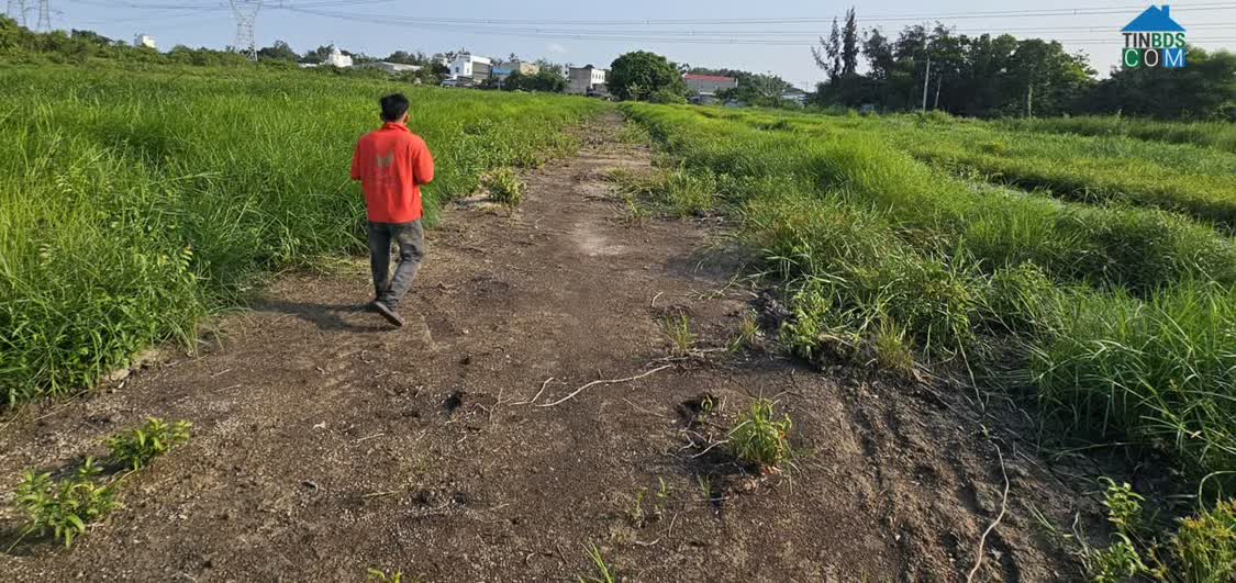 Ảnh Cho thuê đất nông nghiệp. Xã Vĩnh Lộc, mặt tiền đường xe tải lớn Trần Văn Giàu 0