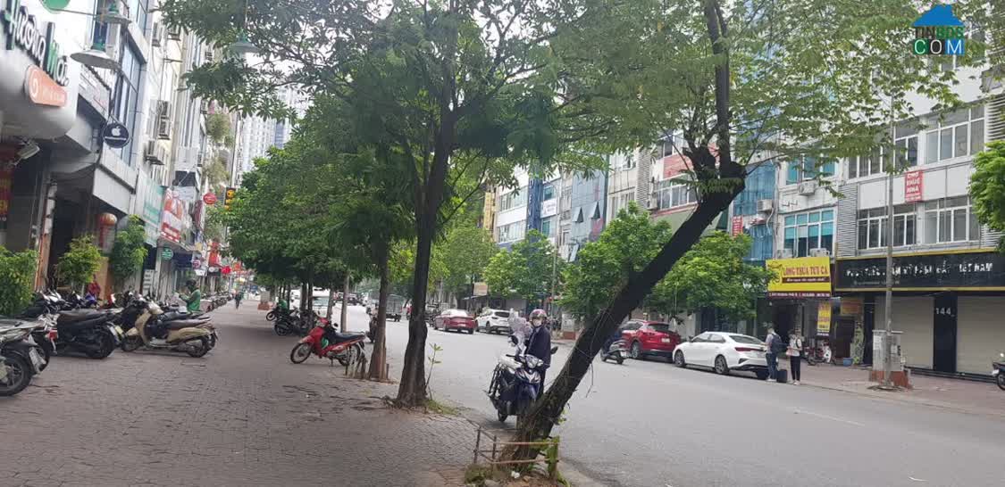 Ảnh Bán nhà mặt phố Vũ Pham Hàm Cầu Giấy 720 triêu/m2.. 0