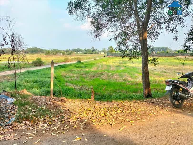 Ảnh Bán đất vườn 1000m , MTĐ Bưng Tràm , Củ Chi 0