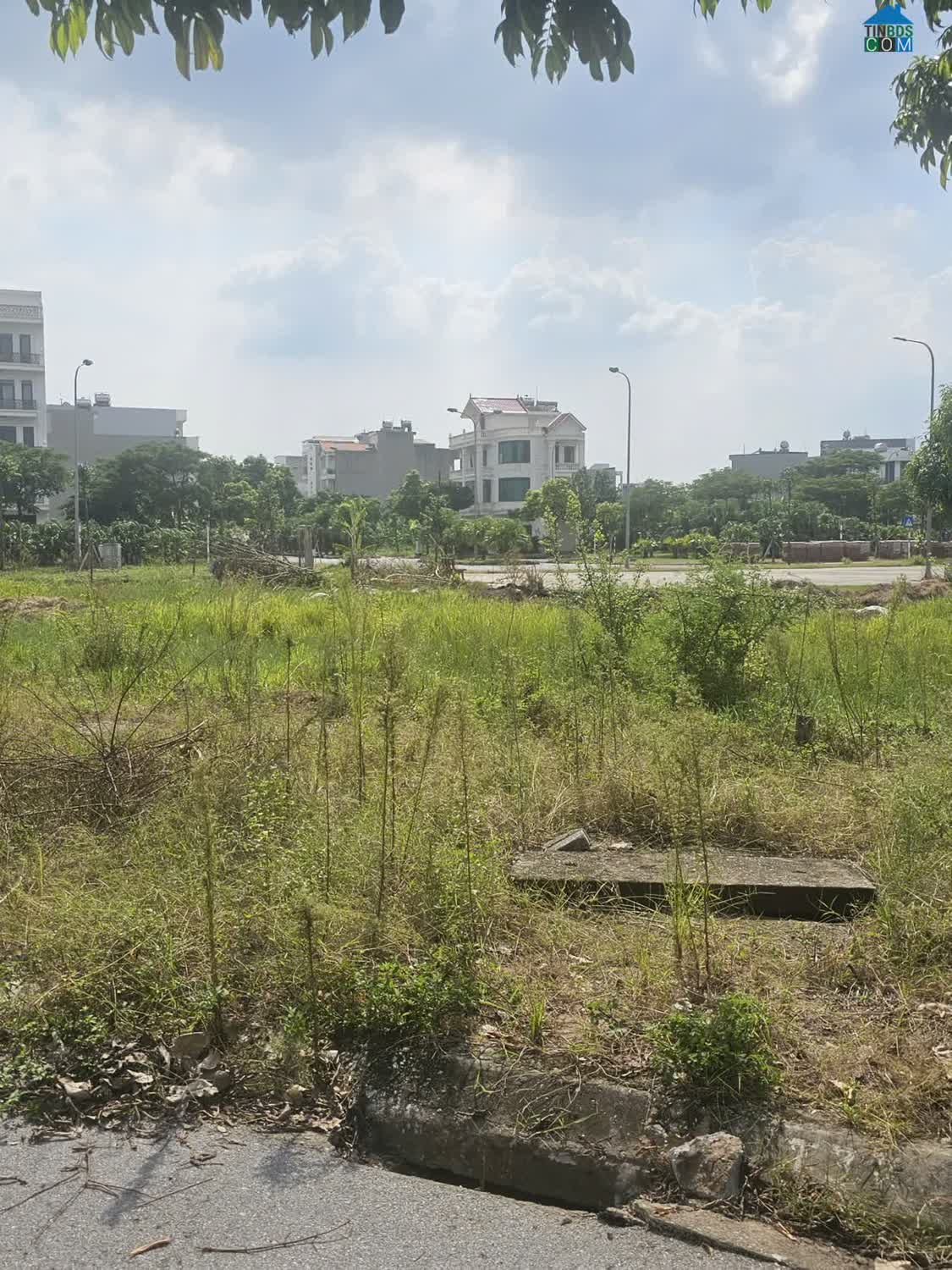 Ảnh Bán lô đất lớn 317,5m² vị trí chiến lược tại Nhị Châu, Hải Dương 0