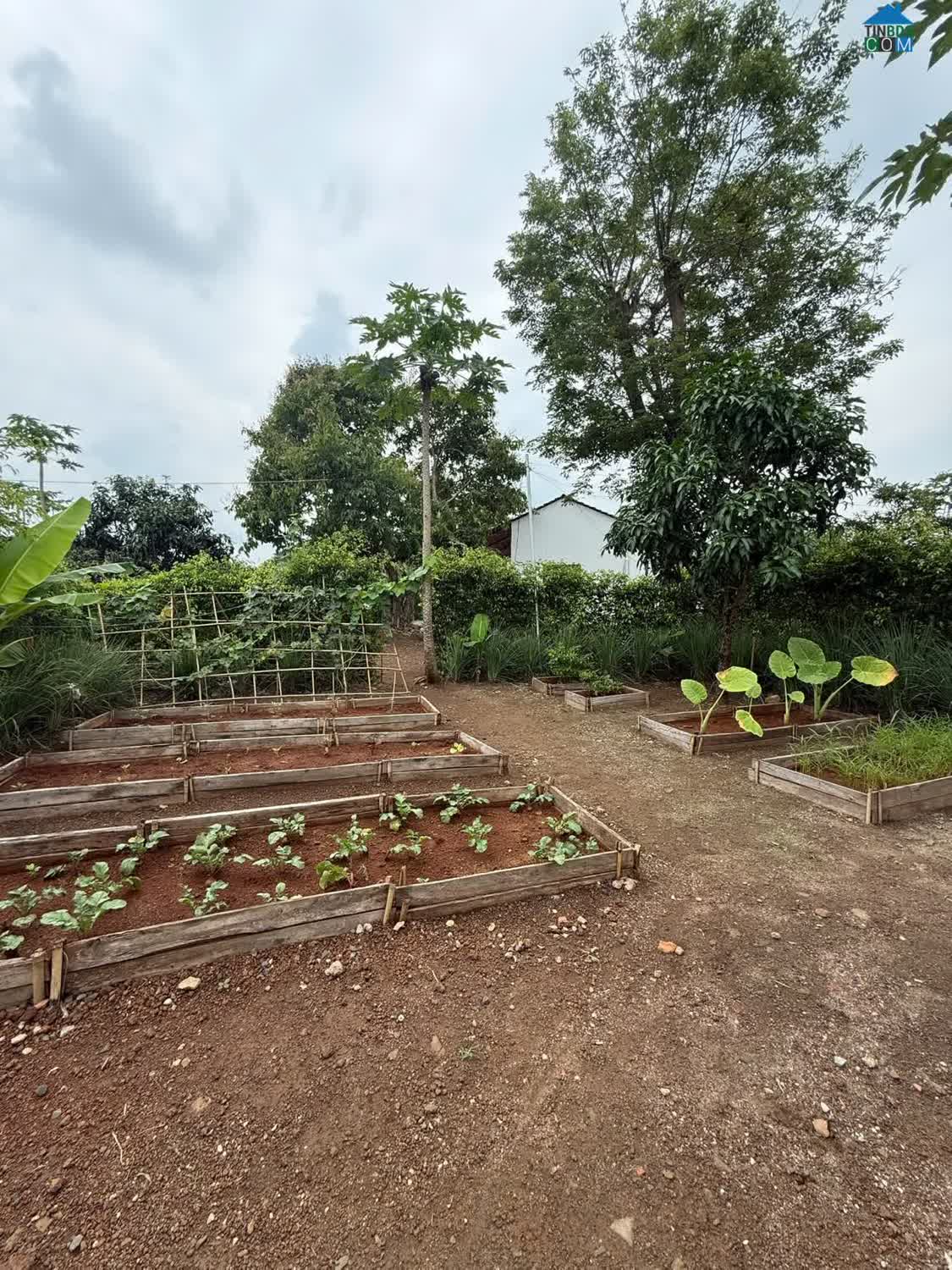 Ảnh Greenery House Bà Rịa – Cơ Hội Sở Hữu Nhà Vườn Nghỉ Dưỡng Chỉ Từ 3 Tỷ Đồng/lô 0