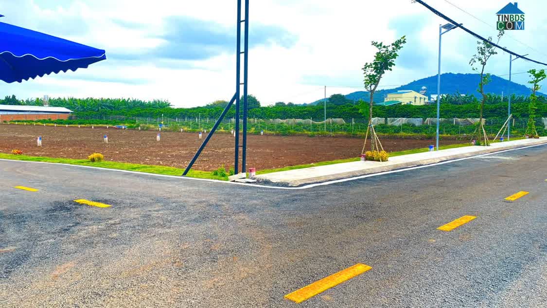 Ảnh 23 lô đất nên, hẻm nhựa khu cư xá, liên hiệp đức trọng cũ, lâm đồng 0