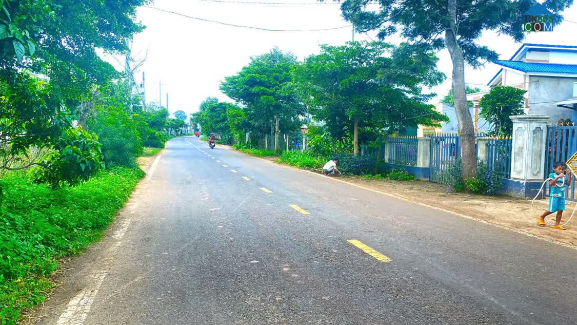 Ảnh Mặt tiền nhựa dh1, n'thôn hạ, đức trọng cũ, lâm đồng ( xã tân hội mới ) 0