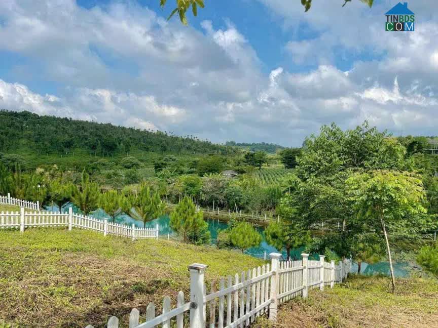 Ảnh Bán Gấp: 500m2 Đất Vàng Trung Tâm Bảo Lộc - Sổ Đỏ Sẵn Sàng 0